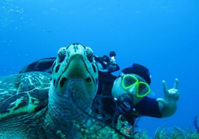 Buceo junto a tortugas marinas